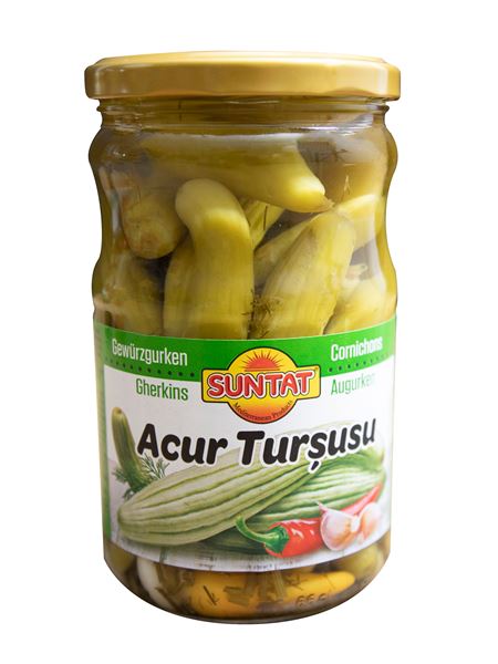 SUNTAT Acur Gewürzgurken 660ml Glas